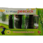 Feather Superஇறகு சூப்பர்